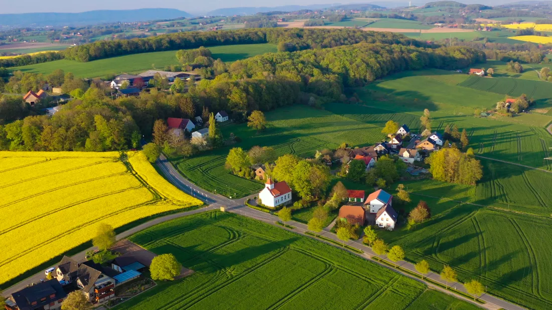 aerial-drone-view-yellow-rapeseed-fields-german-countryside