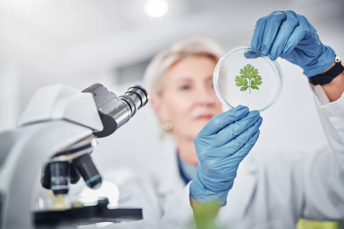 science-research-plant-sample-with-doctor-woman-work-biology-lab-innovation-development-healthcare-medicine-study-with-female-scientist-working-plants-laboratory